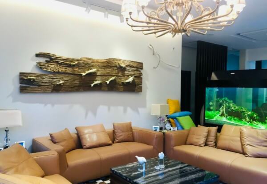 BÁN BIỆT THỰ SÂN VƯỜN KHU VIP KIỀU ĐÀM P.TÂN HƯNG QUẬN 7