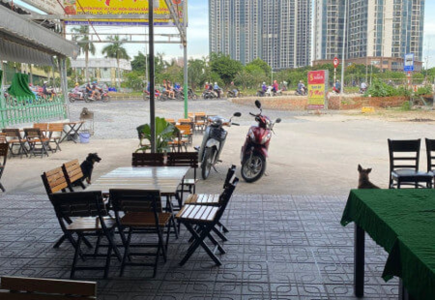 KẸT TIỀN CHỦ BÁN GẤP MT NGUYỄN VĂN LINH, P TÂN THUẬN TÂY, Q7