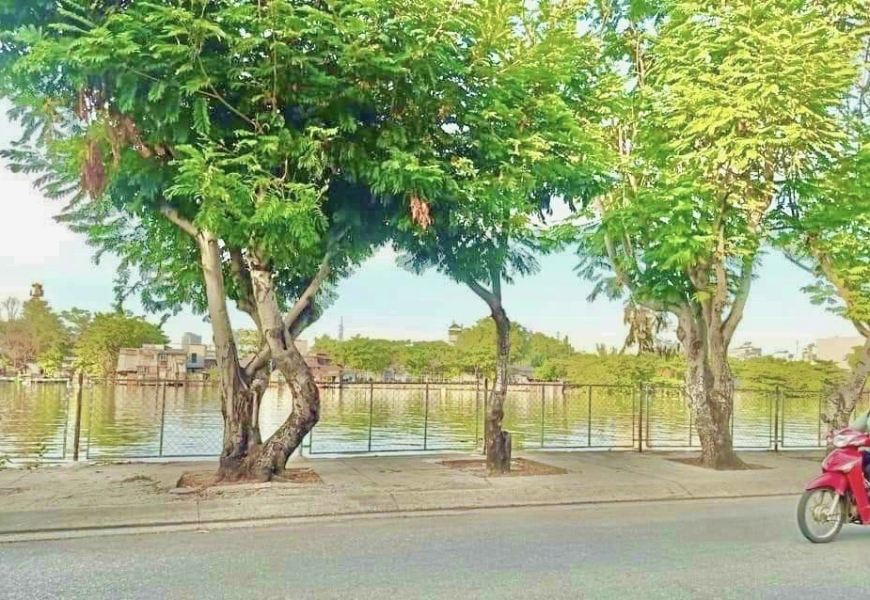 BÁN ĐẤT VIEW SÔNG ĐƯỜNG TRẦN XUÂN SOẠN Q7