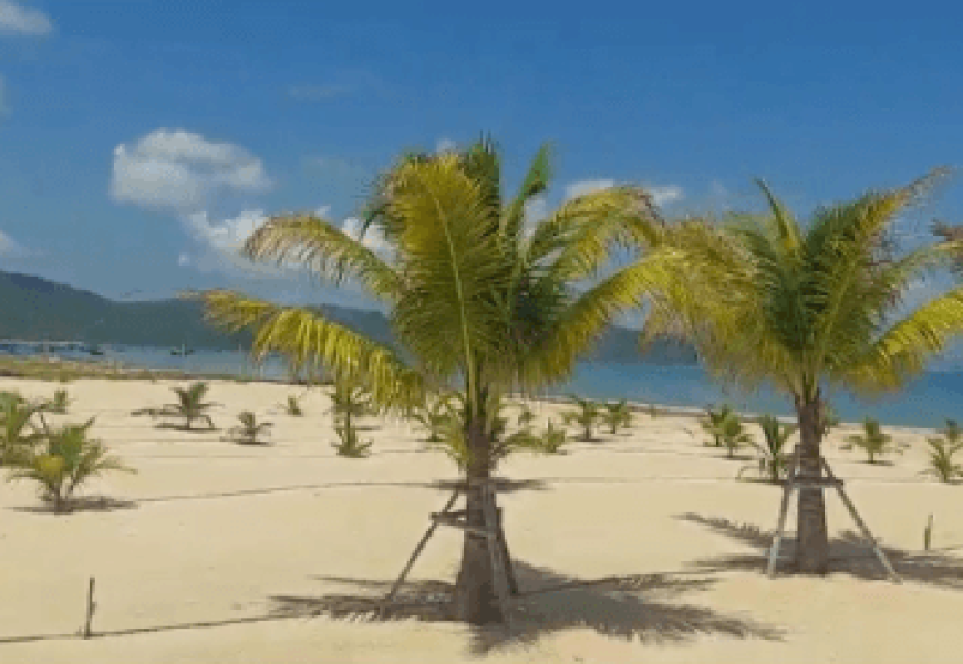 BÁN ĐẤT VỊNH BẮC VÂN PHONG, VẠN NINH, NHA TRANG