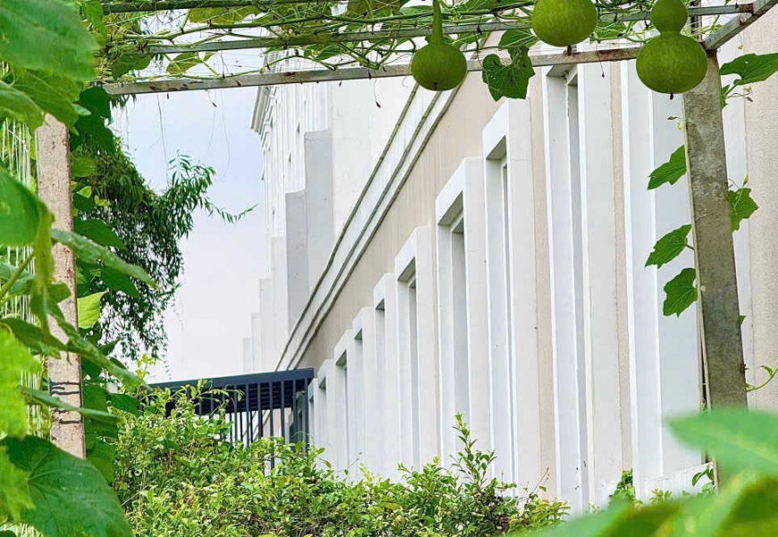 Bán biệt thự khu Compoud Amelie Villa CĐT Phú Mỹ Hưng,Nhà Bè