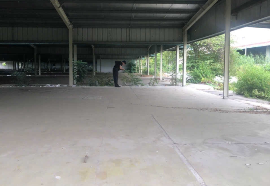 CHO THUÊ KHO LỚN, tổng 40.000 m2. Đào trí q7 đường xe container