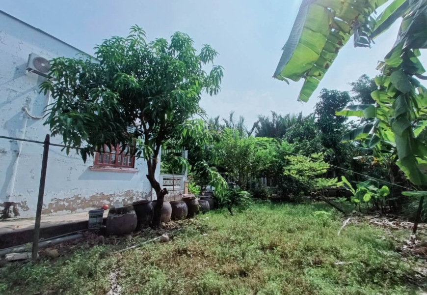 GIÁ CHỈ 25TR/M2 (13.8 TỶ) THƯƠNG LƯỢNG - BÁN NHÀ VƯỜN ĐƯỜNG LÊ VĂN LƯƠNG, NHƠN ĐỨC, NHÀ BÈ