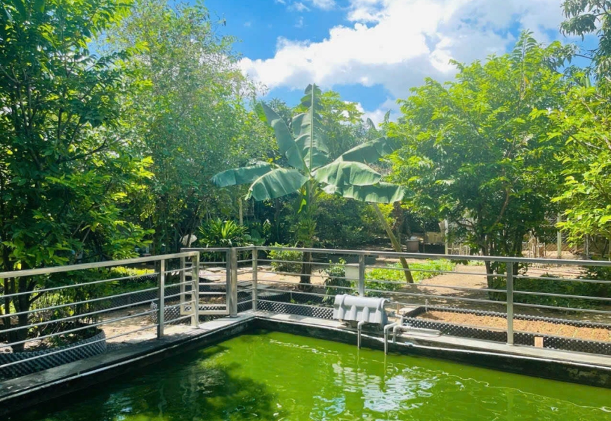 Bán biệt thự sân vườn,xã Long thới,huyện nhà bè