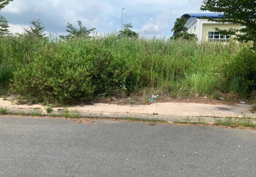 Bán lô C15 kdc cotec nhà bè,sát bên là trường học cấp 2,và gần uỷ ban nhân dân huyện nhà bè, tphcm